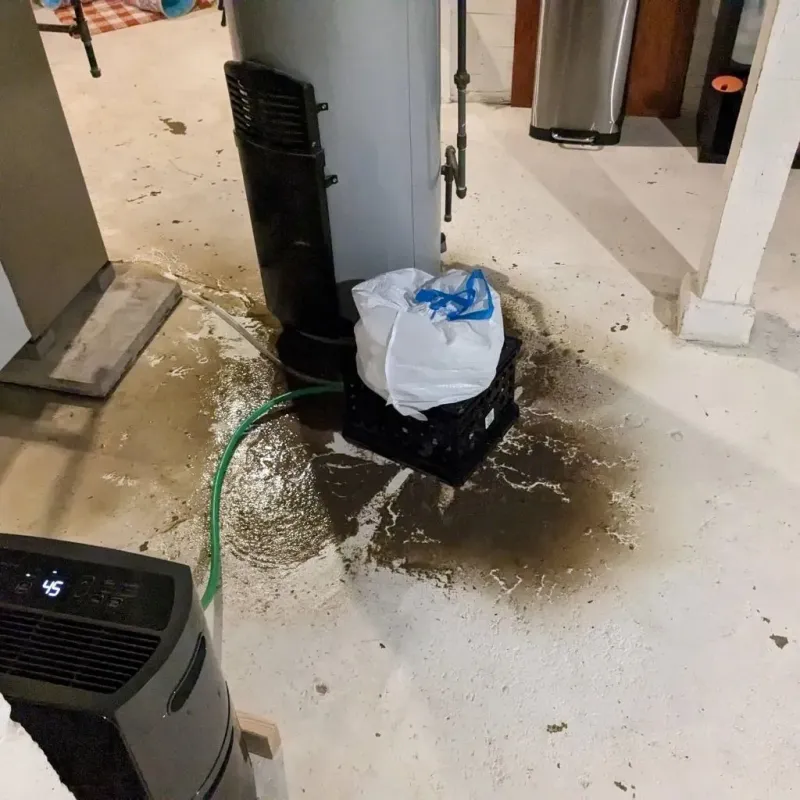 Sewage Backup Cleanup Service in Greenhills, OH